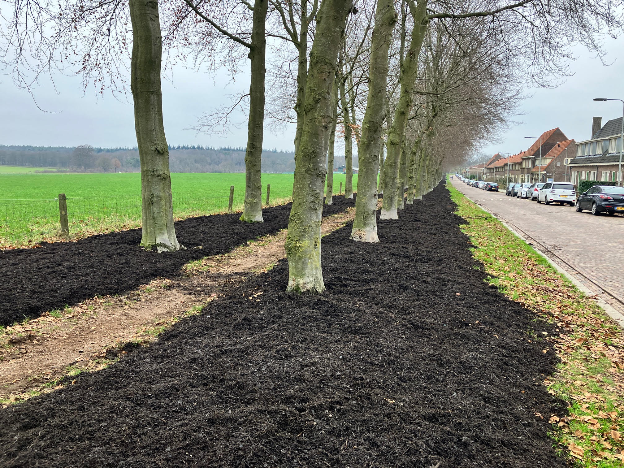 Natuurlijke Bodemverbeteraar Voor Arnhemse Beuken Van De Haar Groep